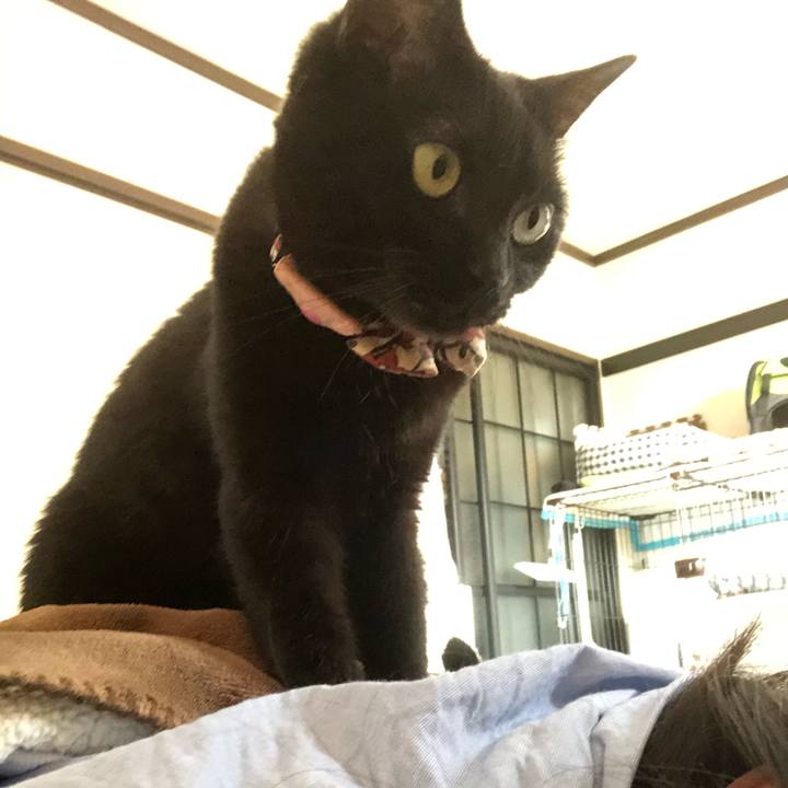 5188434c 05d1 47df bf15 27fb3be04d47 1593215509792