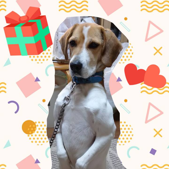 51889f58 d3ad 40af a7a6 ede353eef601 1610694975399