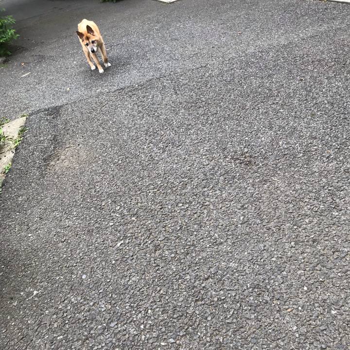 5188c307 3014 4390 ae90 3e3344513a9c 1562710469640