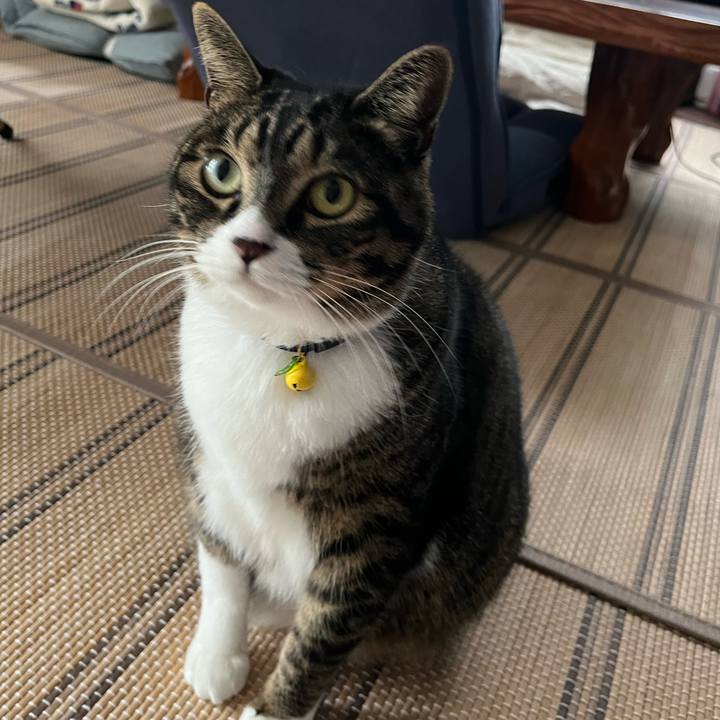 5188dd58 a8ba 4ac3 aa6c d9abdc51b855 1759186026613