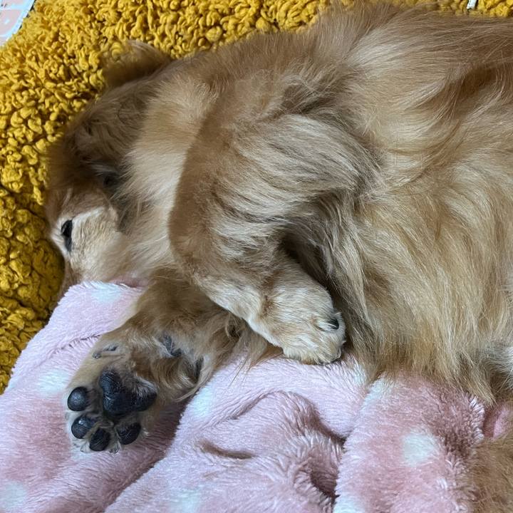 518908bd 0edc 42db aafd 34343d83c638 1681651725735