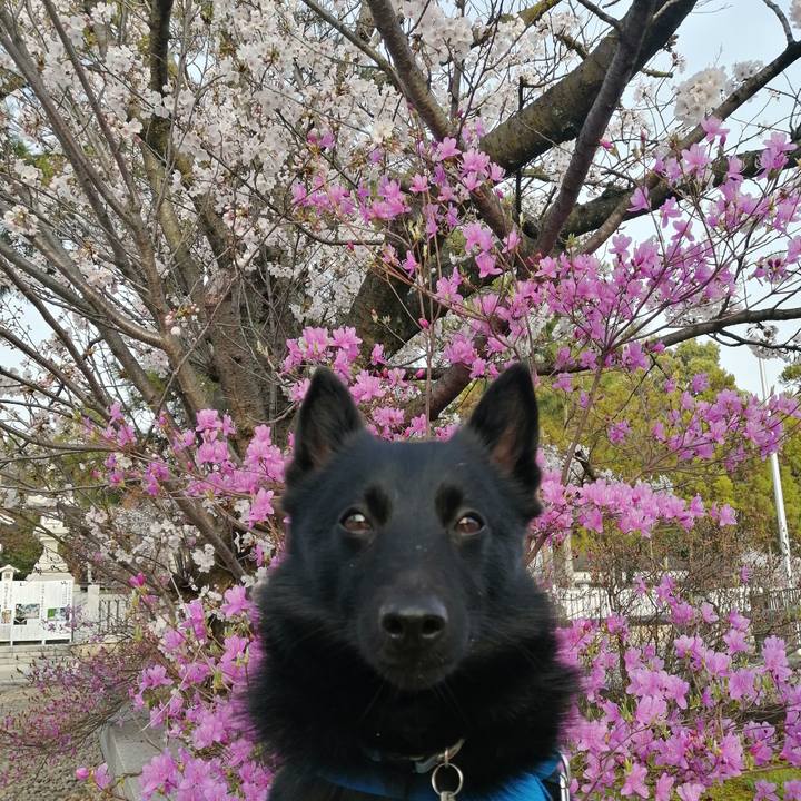 518917b5 7d6b 4730 b040 721cf1c3bb95 1617227232129