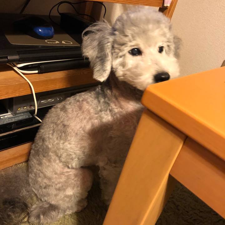 5189358a 7b36 4deb b876 ee5d492a8a4a 1528949657837