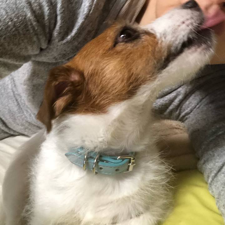 51895bca f997 4101 9dbb 2abc8766d783 1551605288904