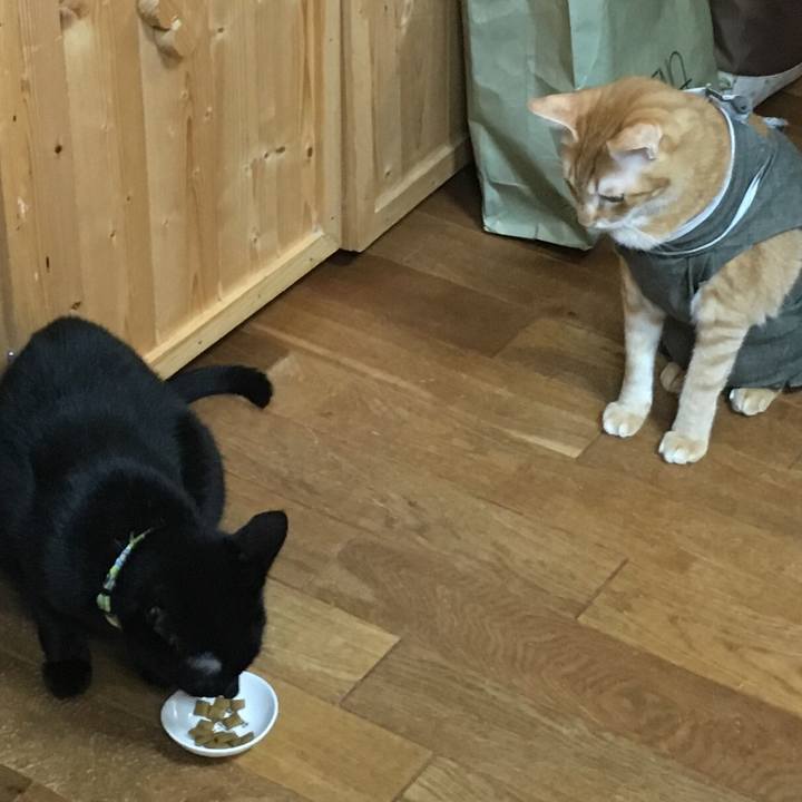 5189839f f4b4 4393 be26 092151664f74 1537888300314