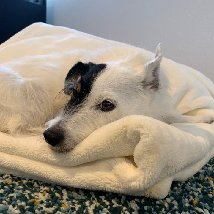 5189e552 dde6 42ea aa60 64516d1fedda 1725160336664