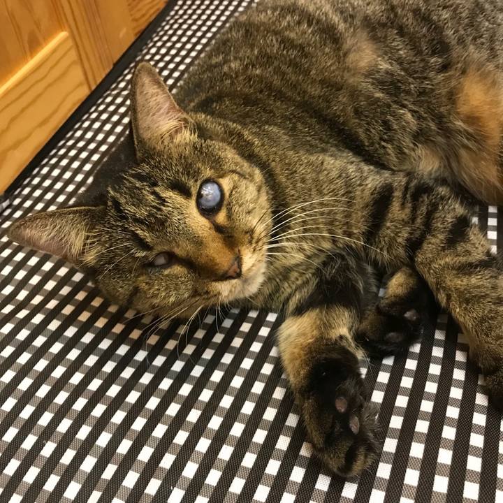 518a4f19 4918 463e 96d6 1413fcfe8462 1570930677057