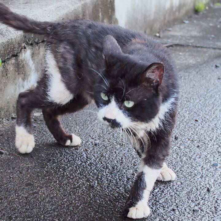 518a50ed 9147 40c8 b067 17e295a8fcb5 1595169195303