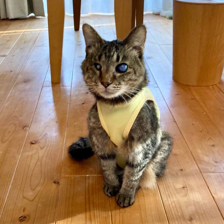 518a9b80 b607 46e0 8253 9c9bc87face1 1682927809816