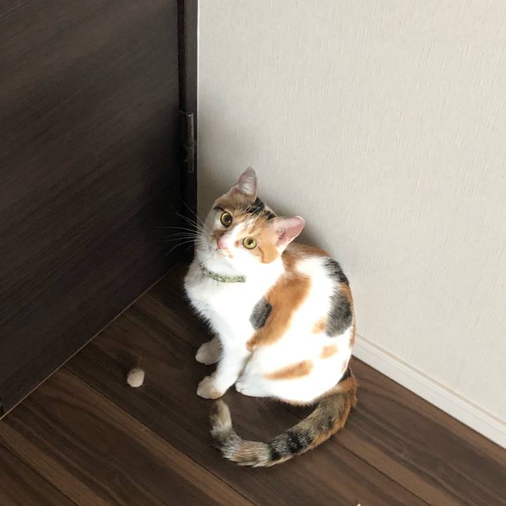 518ac410 6e5f 4613 b90d 1619010f639c 1599188175880