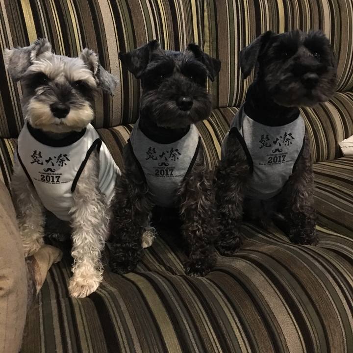 518acef1 0229 4b96 a186 8c8b2c494a76 1508649245827