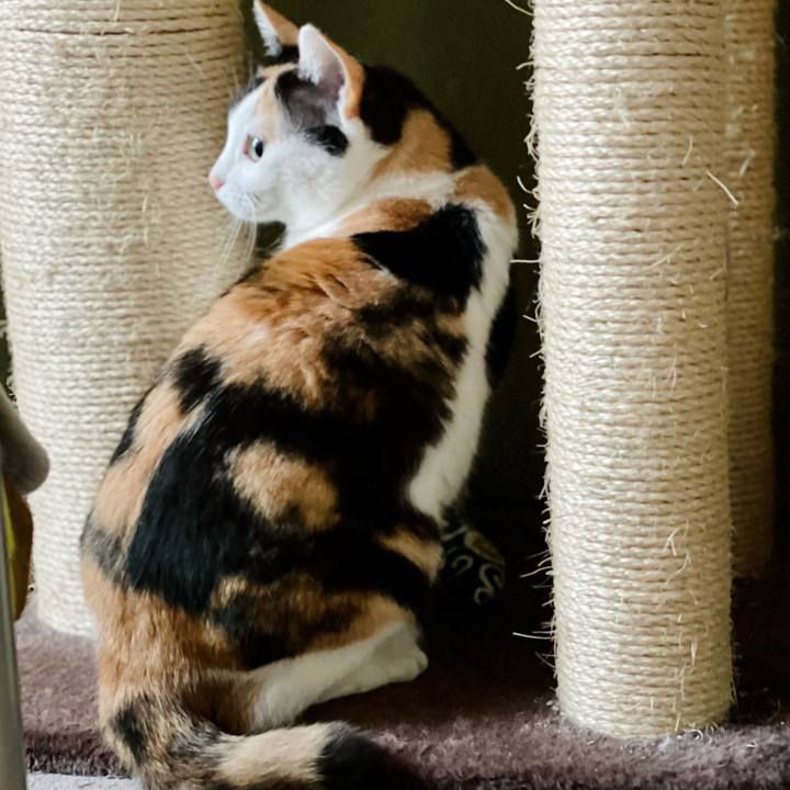 518afd81 1a5c 4d71 849e eee888778997 1620789916427