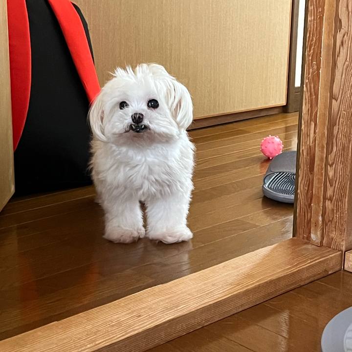 518b165f 6153 497b 9140 bc6f35926537 1752891945611