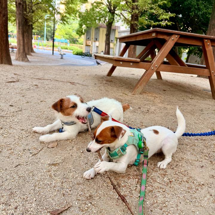 518b40d1 96f8 4c06 bc30 2df401566961 1757738429713