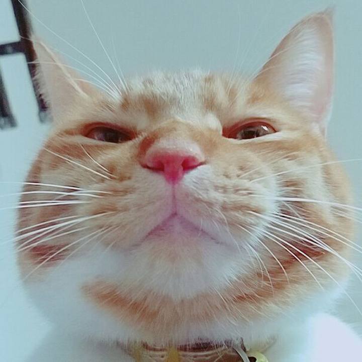 518be46e 2cd1 4360 8158 563b9bbb8d4c 1576566305004