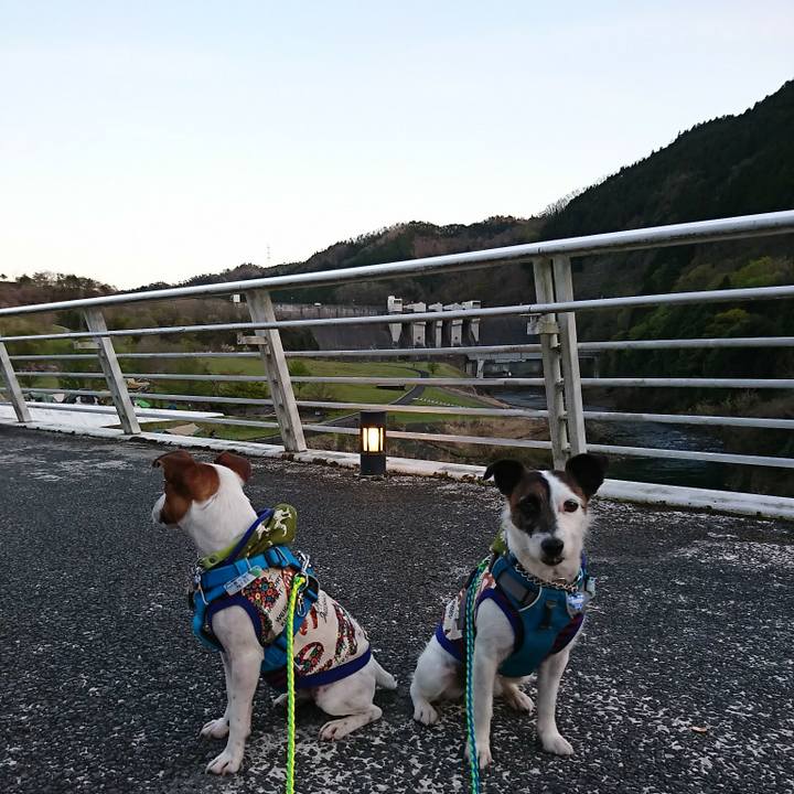 518be5c6 5b9d 454b 8539 5de96cac7997 1555753480064