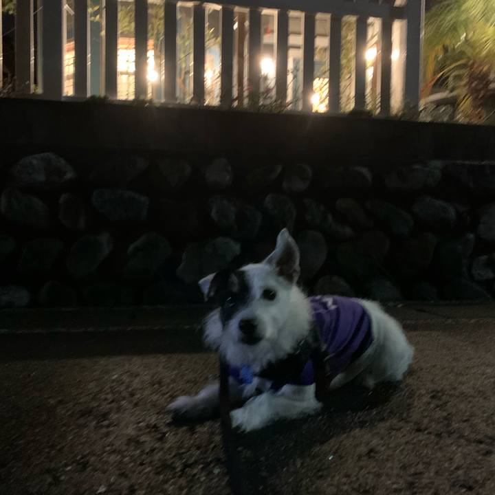 518c0290 cae9 41cb 8e84 a0c6a50e8b42 1728130545714