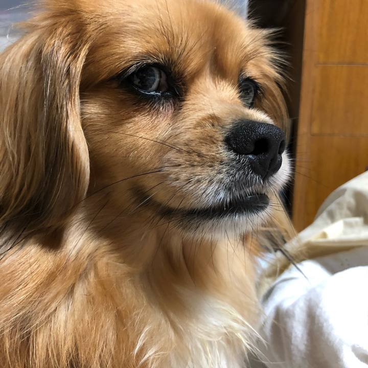 518c06b3 a5cc 4f3d b542 6d69e4c8f326 1561856226825