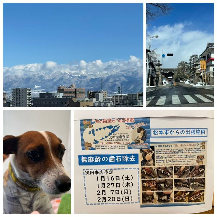 518c092e c699 4d92 8c3e 268f50e7f518 1644233362637