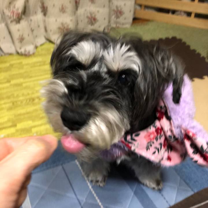 518c260c 1bcb 44b5 99da 47892d28ac75 1704979930517