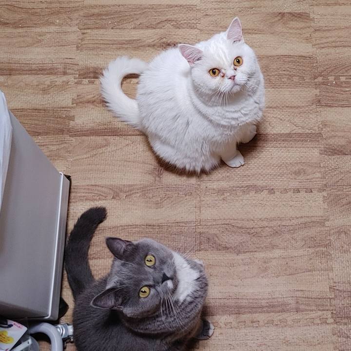 518c3487 b778 483b a563 bafd3487fd97 1692610520628