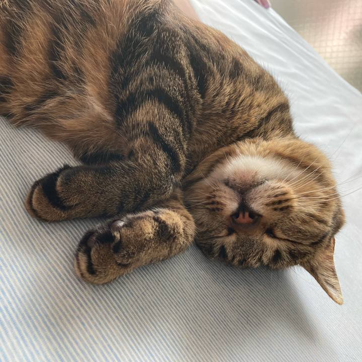 518c6b15 fceb 4015 8270 8e7641cfe605 1622694168626