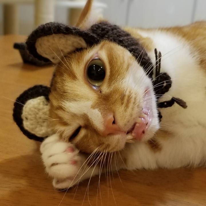 518c85a7 24ba 4fc1 9b75 71a5e1faa86e 1550839648175