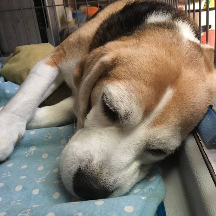 518cb042 a34e 4a61 95e0 09375275b157 1535253432457