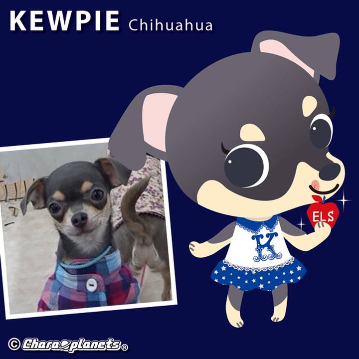 518ccbc3 94b8 4bbc b287 2f1e07bc3d89 1558052584188