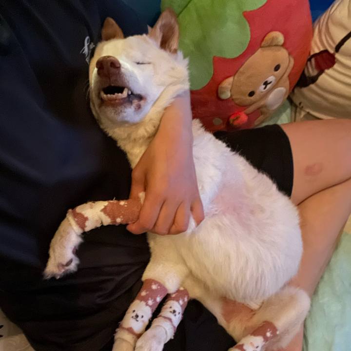 518cd063 1fc4 4fb8 a381 5c249b00cc82 1685276172691