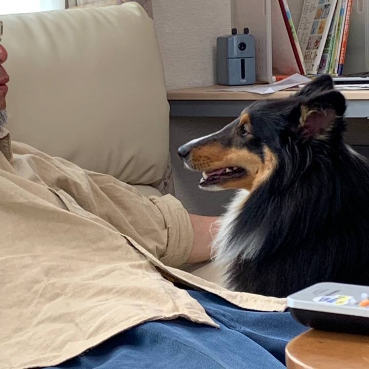 518ce03d b2eb 4f1b b44e 24bb7e0f4c59 1558219549715