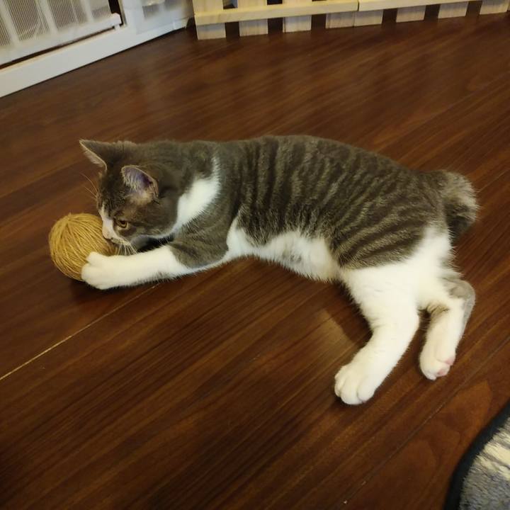 518cfd6e 3a1c 4268 b8f3 f5ad183cfcad 1571439384556