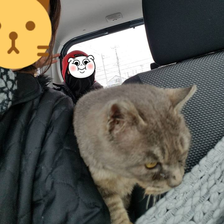 518d08c7 5e0a 4185 bc96 62f3e6276709 1519894897820