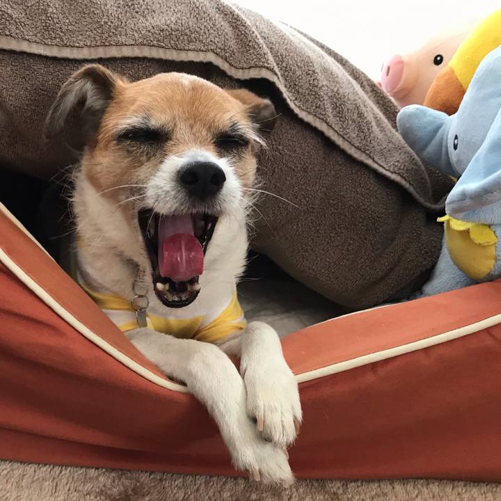 518d2ffa 62f4 4b53 947b ac1fa832eb1c 1557645432420