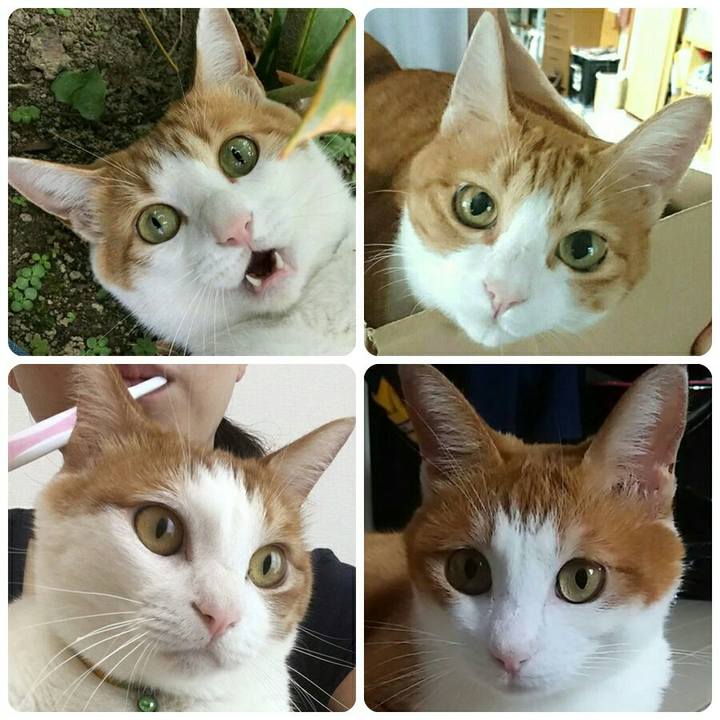 518d51e5 2a2e 450d 9e7f d9c8c6dbea76 1510100854146