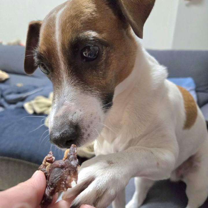 518d6aa0 a35e 4ade 9efc 1bd91a8324a7 1771554650552