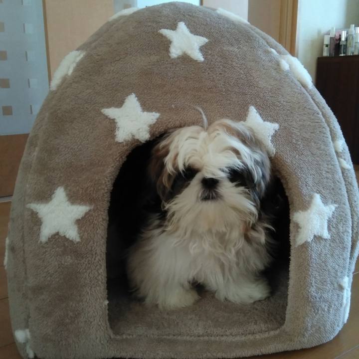 518d8047 e17d 4aa1 a9f3 0f12424e23be 1538396191052