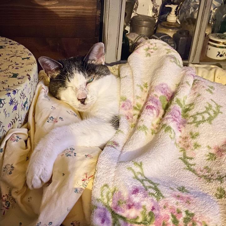 518dc2ab 76c7 49a5 a497 4a5cb9ca9989 1603637511693