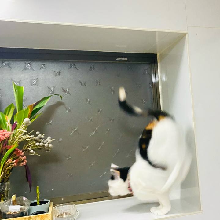 518e79f0 b1ff 4ec9 af43 fed9fda4edf3 1682213038083