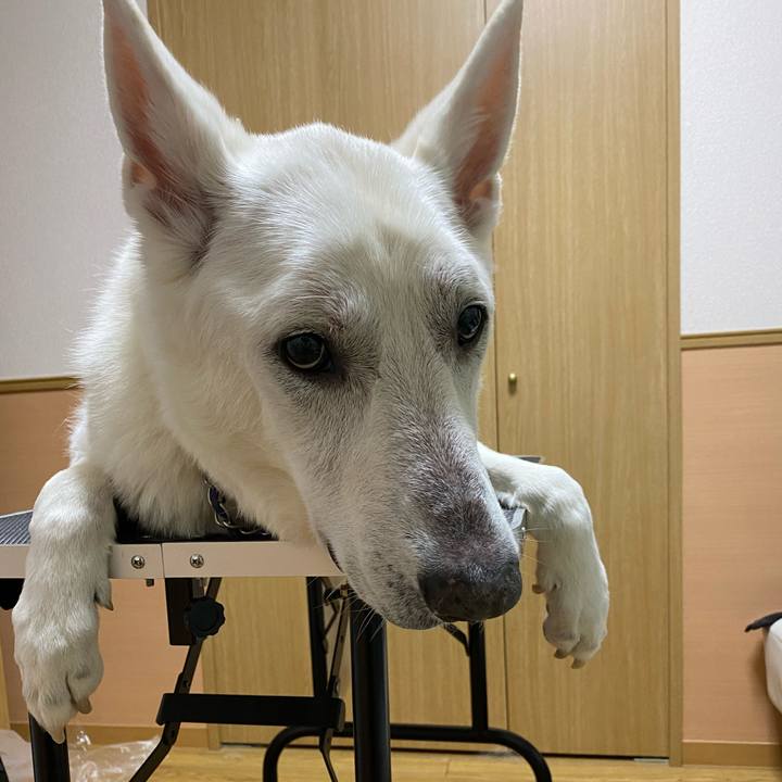 518ea319 4974 445b 86e6 fb804e5a1c8d 1612681317066