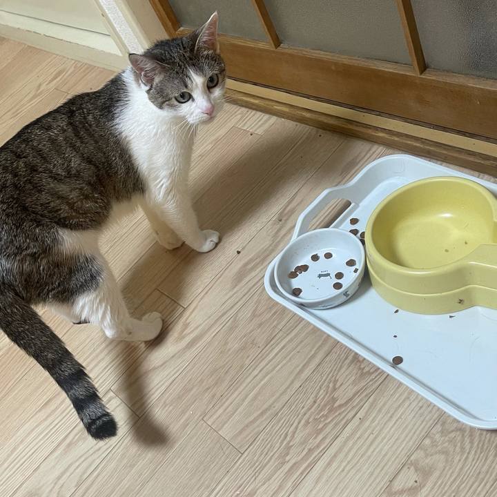 518eaeca c1a9 44d7 8043 3e174ce26397 1624713485083