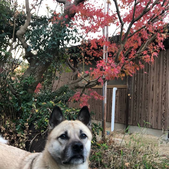 518ec162 4004 4f23 8635 af1028f14f19 1607689022294