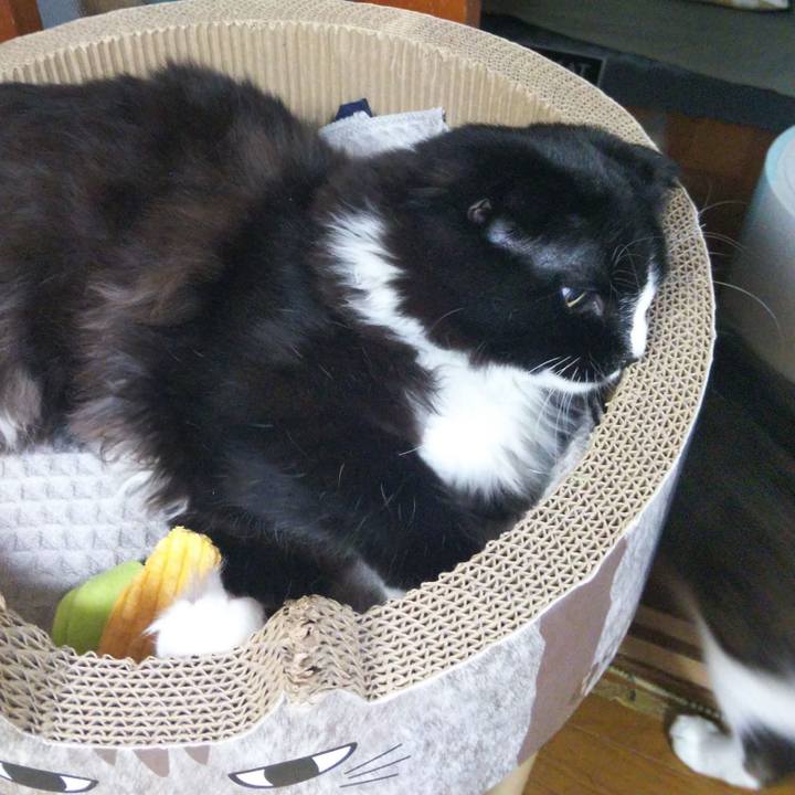 518ec8db a9be 4f9e bfc7 5c50f0143183 1647166246304