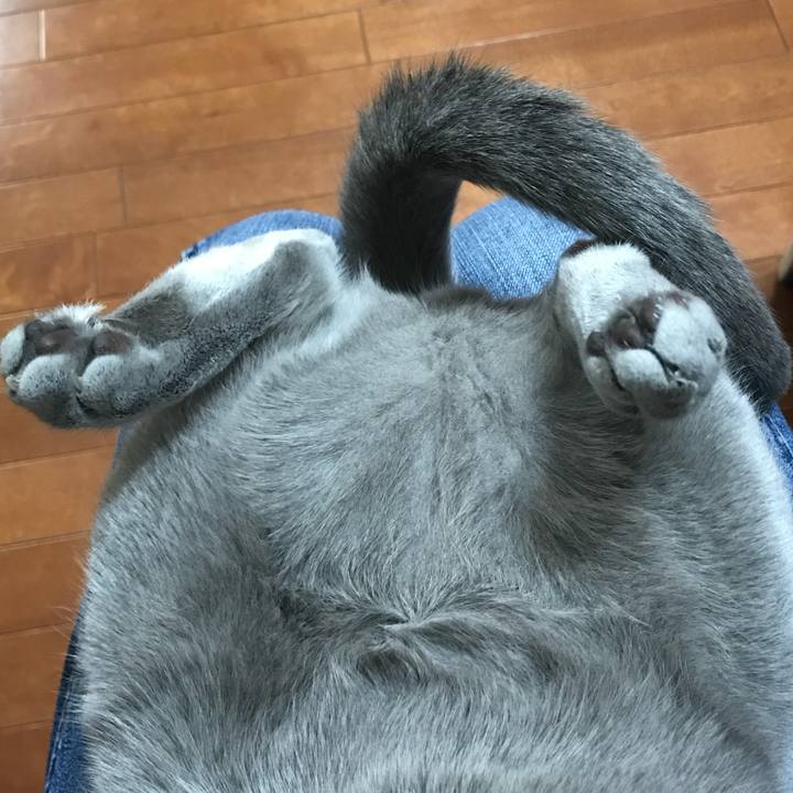 518ed241 405a 4210 ae5d 175bfbe46f61 1518325122108