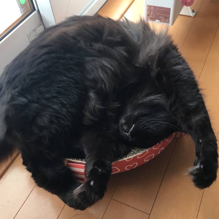 518f0766 4096 4c46 822e e89be675a339 1549255933713