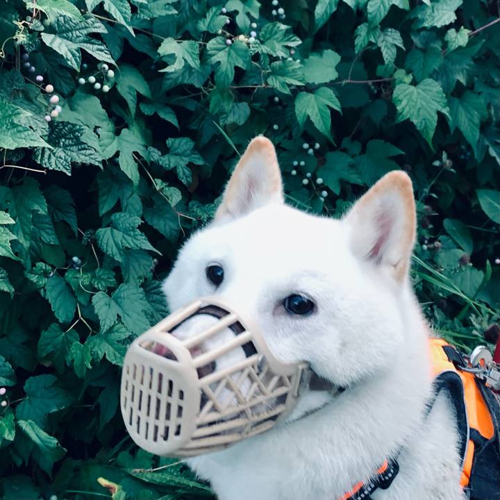 518f24c6 5bfb 421b b231 d9b38b570433 1665012733173