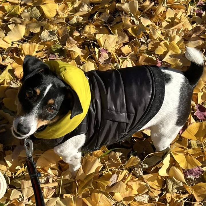 518f8406 b3d9 49f9 9d6d 7c756730df43 1734252091454