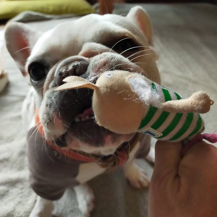 518f9fb4 71a3 4e17 ba00 e5ade5a8933e 1637453035984