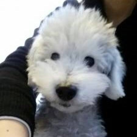 518fd38c 07bd 40fc a0ab fc6b157b3577 1607559890997