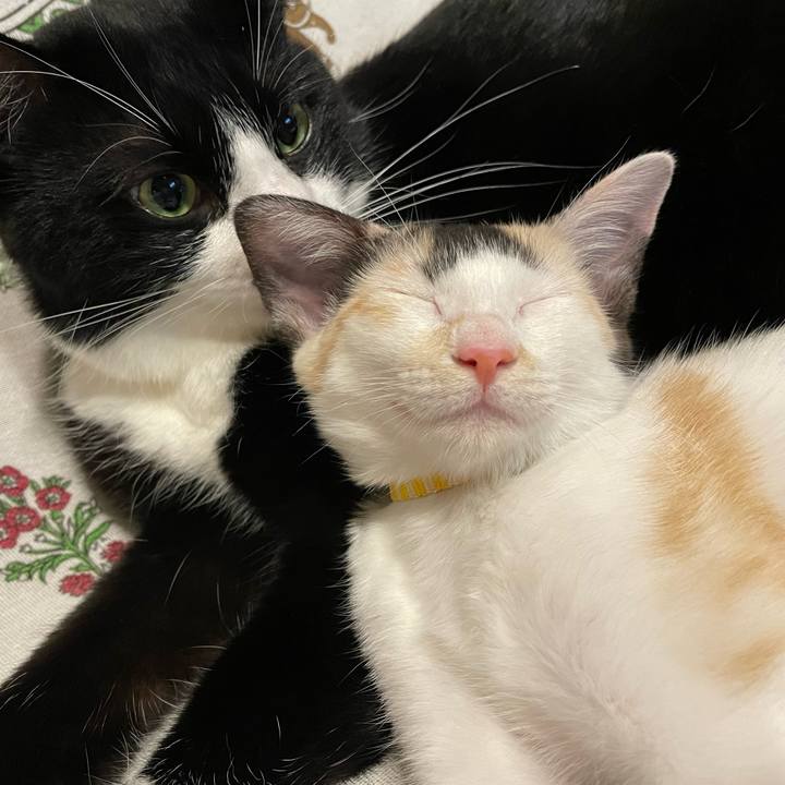 518fed5c 598b 4021 867c 469ea37c806f 1660660725222